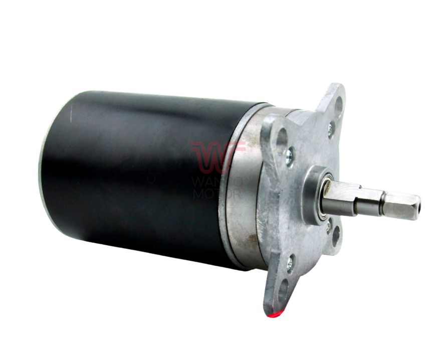 Custom durable DC Motor by Wanco Motor featuring compact footprint